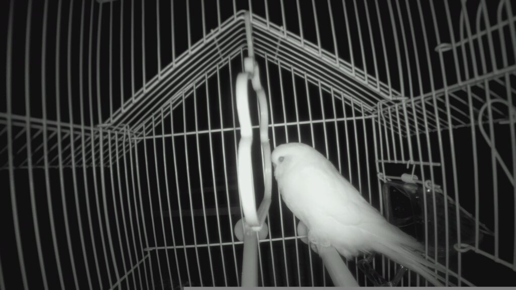 img0 19700101 074020