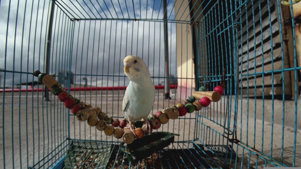 img0 19700101 115400