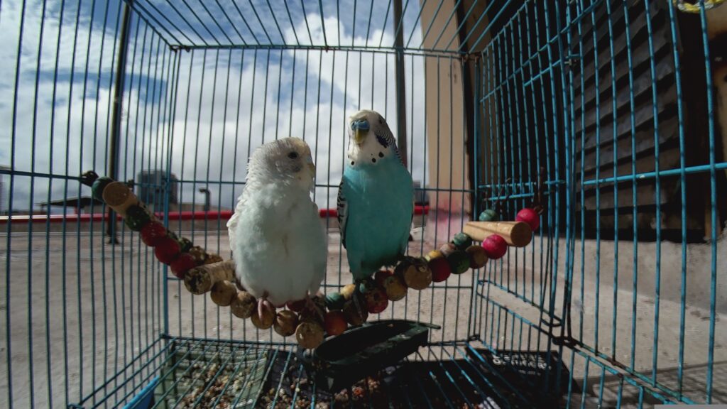 img0 19700101 121802