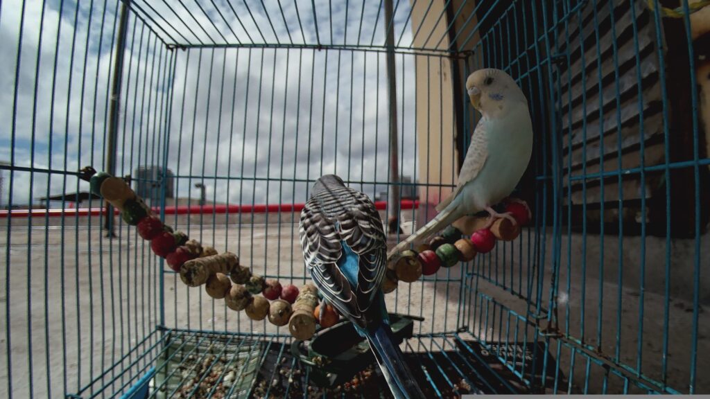 img0 19700101 124807