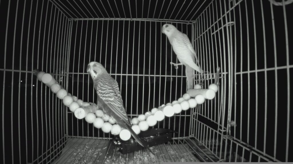 a71a25d5c526a72a629171a8386fed0