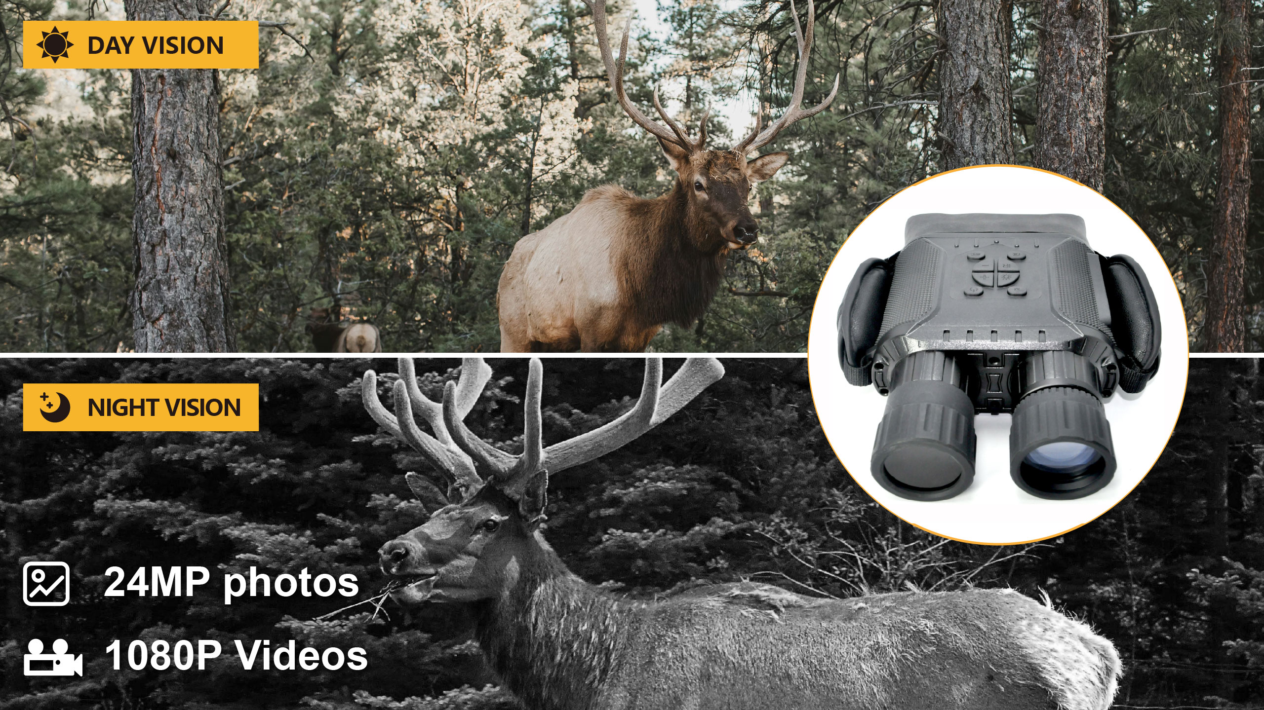 33333 画板 1 副本 2