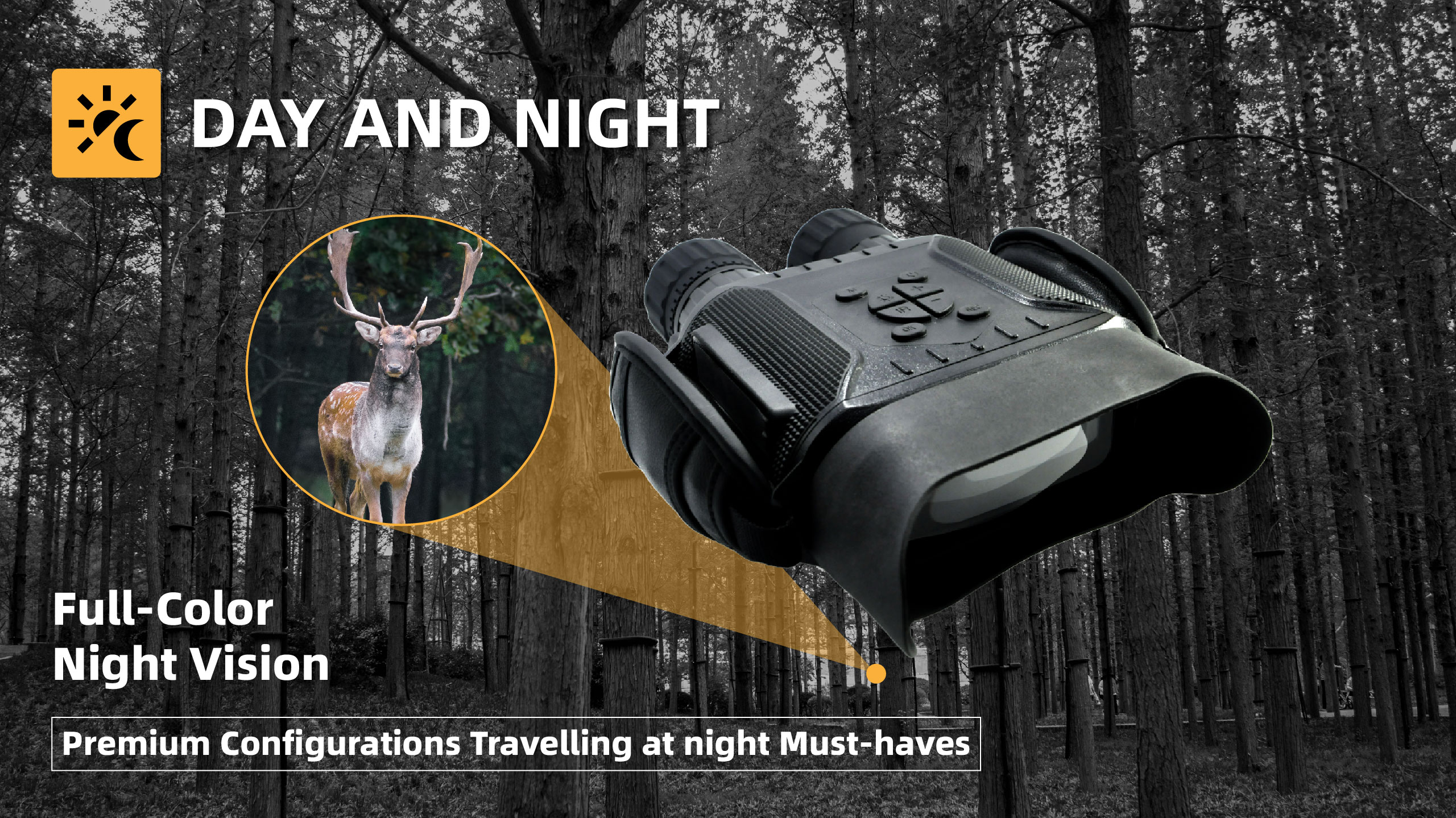 33333 画板 1 副本