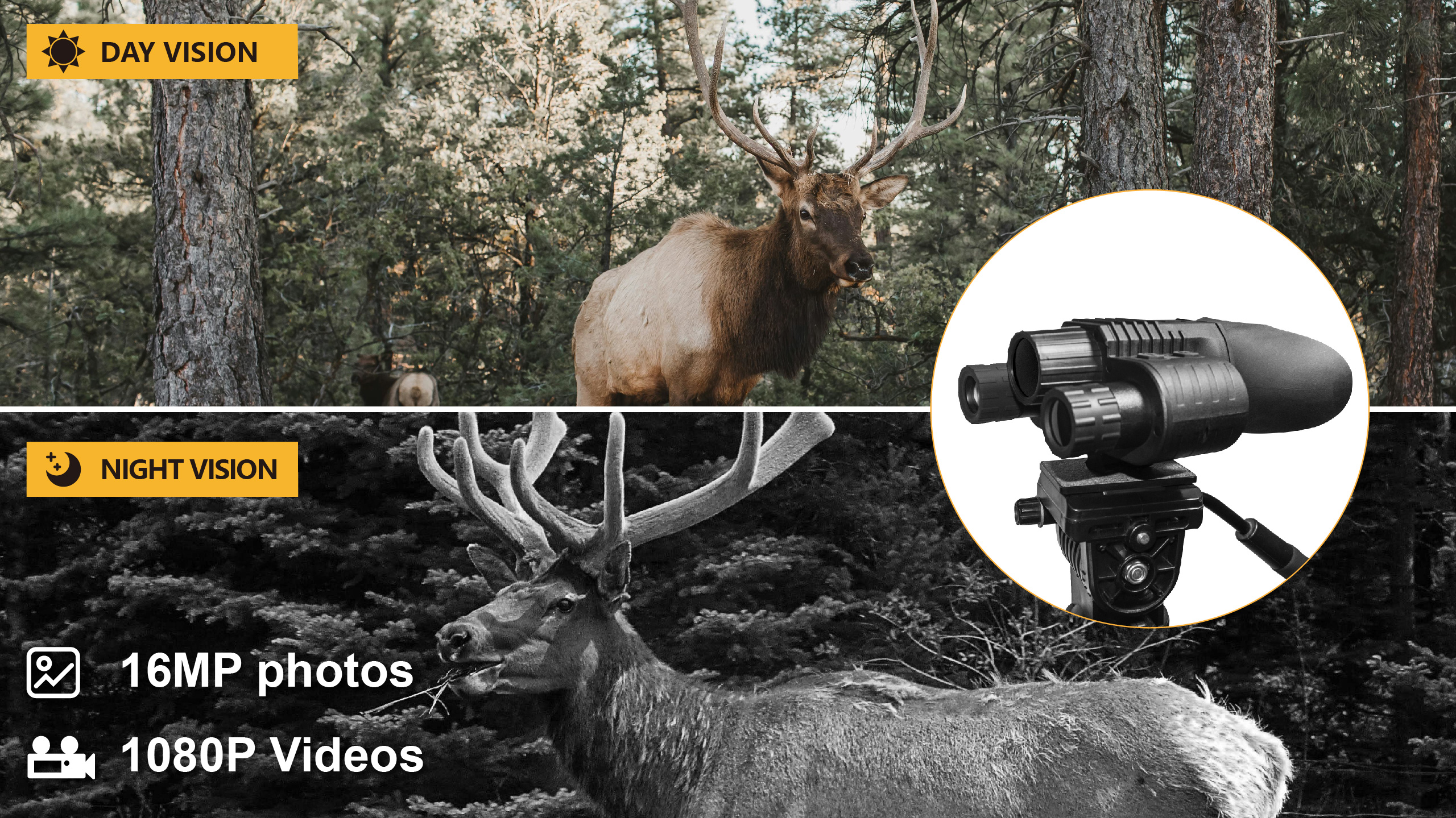 未标题 1 画板 1 副本 2