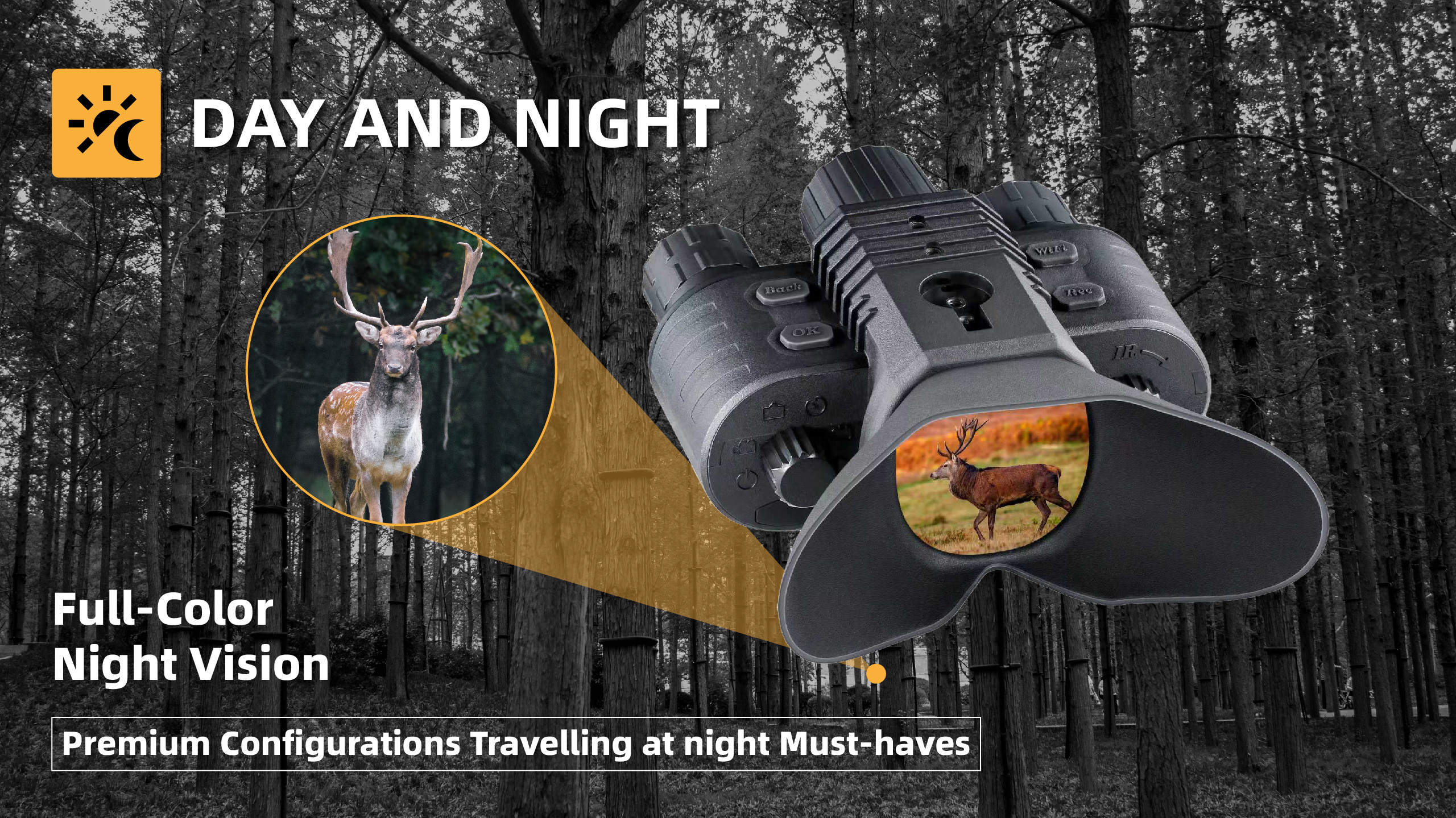 未标题 1 画板 1 副本