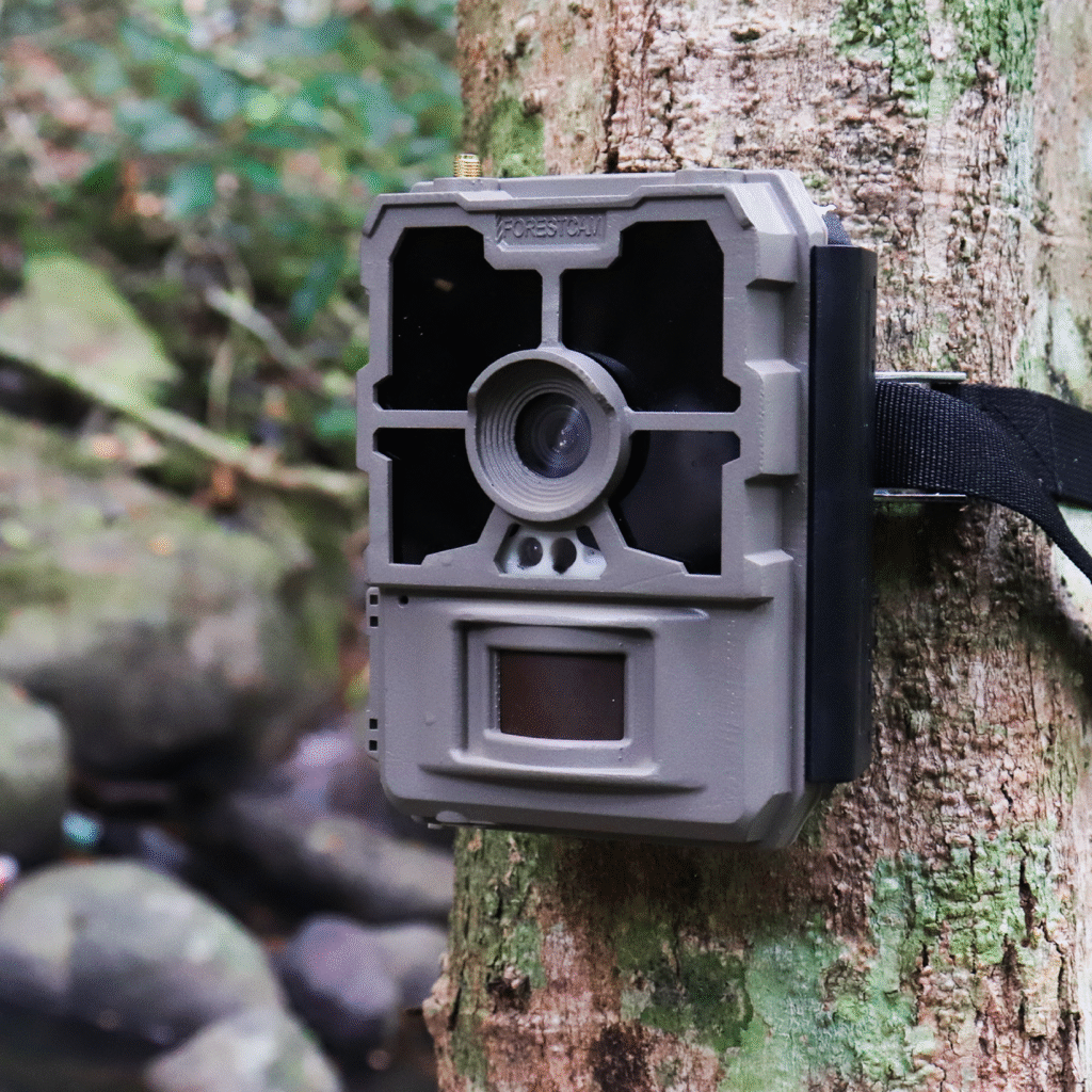 未标题 3 画板 1 副本 2